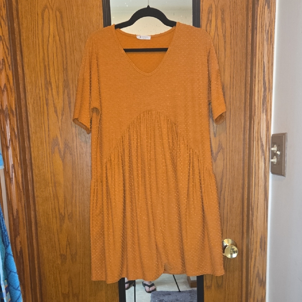 Chic Rust Mini Dress